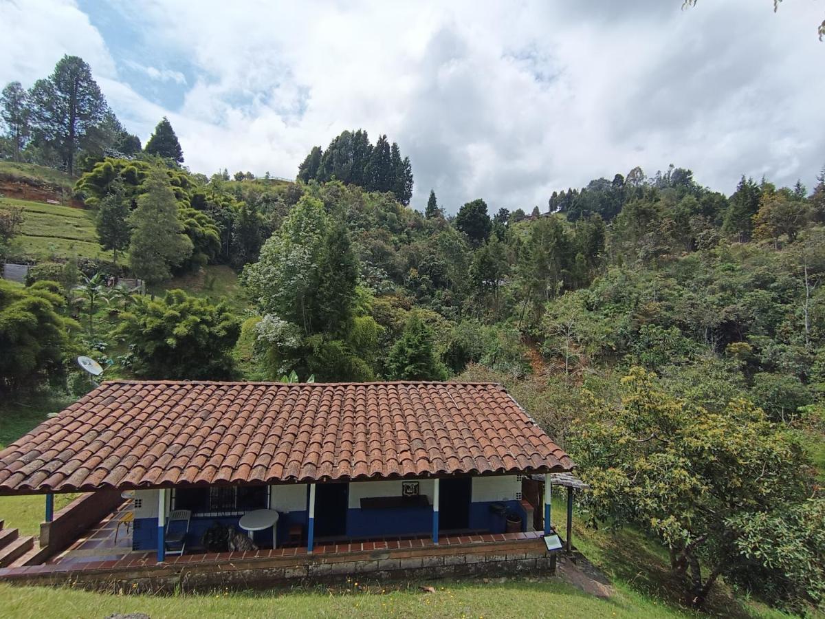 Biohotel Ecohouse Guarne Exterior foto